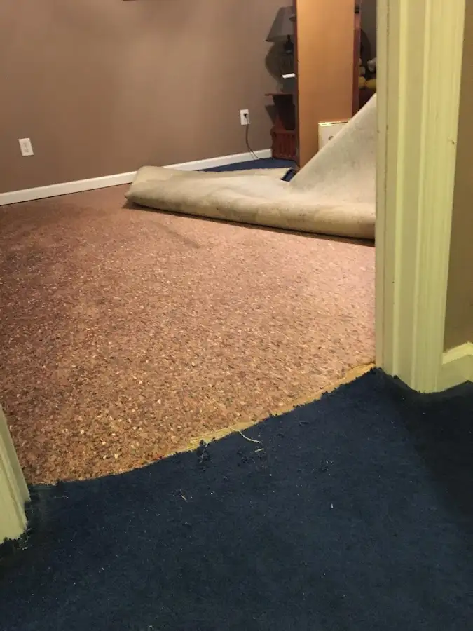 Carpet pad removal revealing water damage during Water Mitigation Services in Maryville
